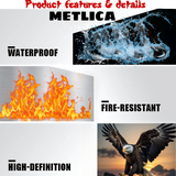 Eyes of the Storm – Eagle Landing Metal Poster